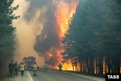 Горящие леса в Тюменской области