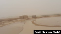 سازمان ملل: دهقانان افغان هر سال بیش از یک و نیم میلیارد دالر عایدشان را به دلیل منع کشت کوکنار و تغییرات اقلیمی از دست می‌دهند.