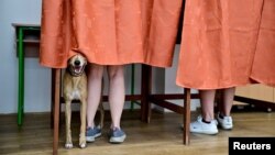 Un câine în cabina de votare la Budapesta, într-unul din cele mai urmărite scrutine din cadrul alegerilor pentru Parlamentul European. Ungurii au tot astăzi și alegeri locale. 