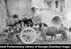 Tbiliside öküze goşulan araba