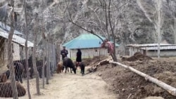 Школа, которая состоит из одного класса и в котором учатся 14 детей 