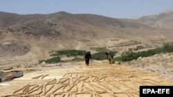  دو تن از دهقانان در قندهار، آرشیف