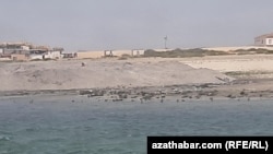 Иллюстрациялык сүрөт. Түркмөнстан.