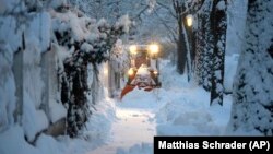 Европа калың карга чулганды 