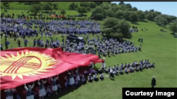 Окуя тартылган видеодон алынган сүрөт.