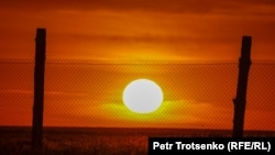 КБСА реинтродукция борбору, мында окумуштуулар куландарды көбөйтүү ишин жүргүзүп жатышат. Костанай облусу, 2022-жыл, 21-июнь