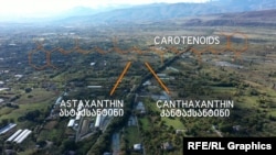 ქიმიური საკვები საღებავები