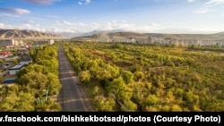 Бишкектин четиндеги Ботаникалык бак. 