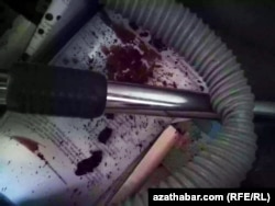 Фото квартиры после разгрома и убийства животных