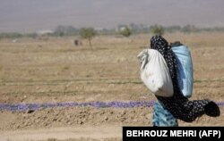 یک زن روستای در حال انتقال گل‌های زعفران در روستای شهن‌آباد تربت حیدریه در آبان ۱۳۸۵