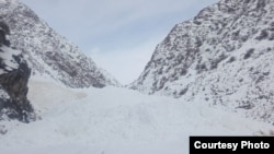 Иллюстрациялык сүрөт. 