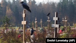 Иллюстрациялык сүрөт.