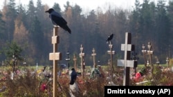 Иллюстрациялык сүрөт. 