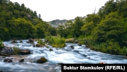 Иллюстрациялык сүрөт.