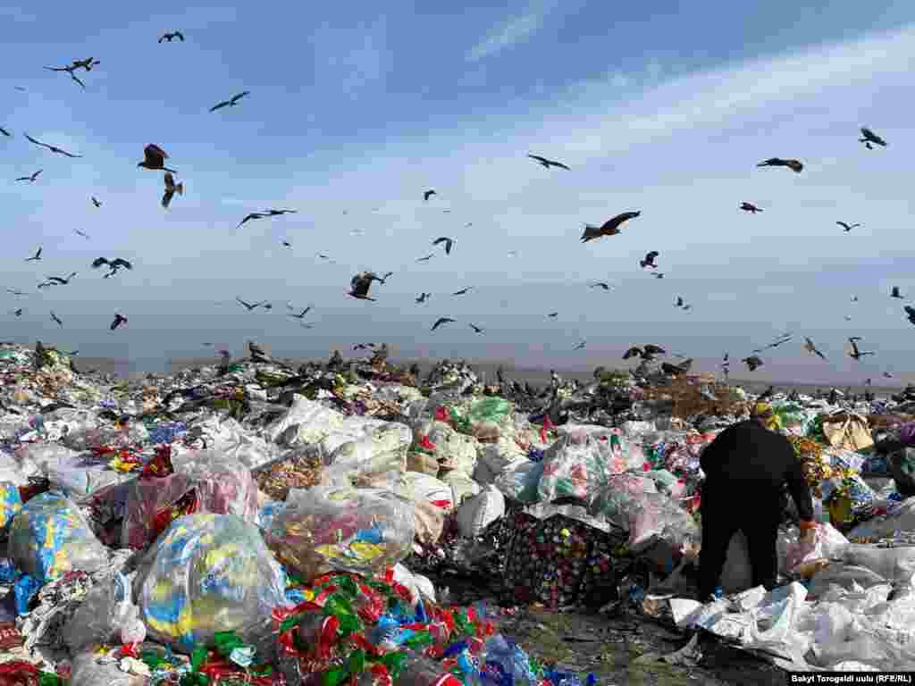 "Тазалык" муниципалдык ишканасы Бишкекте күн сайын 500 тоннанын тегерегинде таштанды чыгарат. Активисттердин эсебинде, чыгарылган таштандынын 40 пайызын полиэтиленден жасалган буюмдар түзөт. Пандемиядан кийин ага беткап жана медициналык калдыктар кошулганы кабарланган. Экологдордун маалыматына караганда, полиэтилен баштыктар жерде 100 жылдан кийин гана чирийт. 
