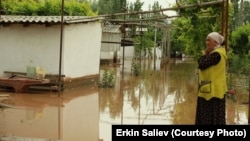 Сузак районунан тартылган сүрөт. 5-май, 2022-жыл.
