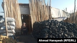 یک چوب و زغال سنگ فروشی در کابل - عکس از آرشیف