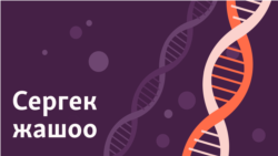 "Ысык өнөкөт ооруларды козгошу мүмкүн"