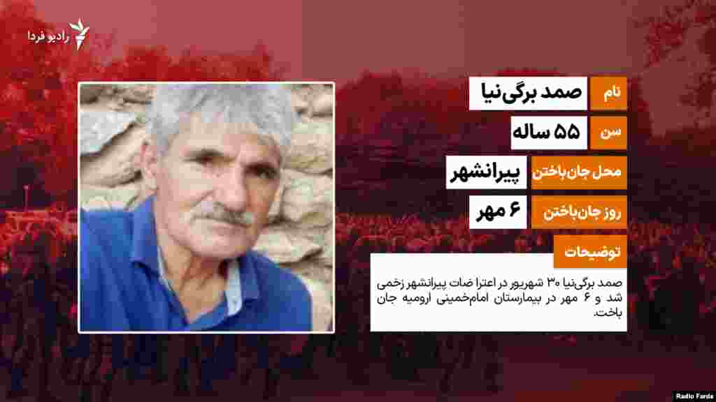 صمد برگی&zwnj;نیا