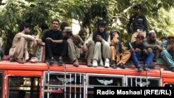  د سیند پولیسو نيولي افغانان د بس سر ته خېژولي - انځور له ارشیفه 