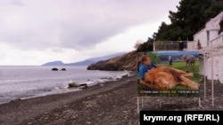 На рекламном щите, установленном на пляже в селе Малореченское в Крыму, изображен крымский бизнесмен Олег Зубков вместе с животными из своих зоопарков, сентябрь 2022 года