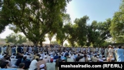 مظاهره کوونکي استادان 