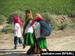 Türkmenistanyň pagta meýdanlaryndaky çagalar.