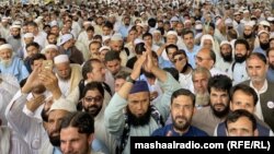 د پېښور مظاهره کوونکي استادان 