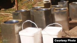 Канти со сирење во Малешево