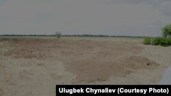 Чаплинск районундагы Крестова кыштагына жакын жердеги кыргыздар көмүлгөн жай азыр айдоо талаасына айланган. Херсон облусу, 17.05.2013