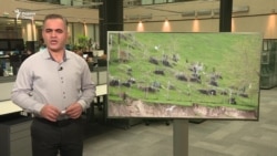 Война в Украине, траур в Таджикистане. Почему таджикистанцы участвуют в военных действиях России?