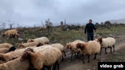 Տեղացիները հիմնականում անասնապահությամբ և հողագործությամբ են զբաղվում