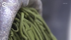 "Насвай нужно запретить, но это вызовет недовольство!" – "У нас целые махалли производят насвай!"