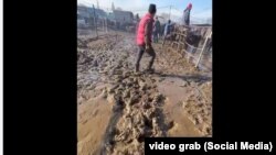 Сокулуктагы мал базар. 2023-жылдын 8-январы. Сүрөт "Фейсбуктагы" видеодон алынды. 