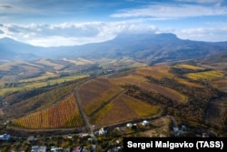 Вид на виноградники под Алуштой, Крым. Архивное фото