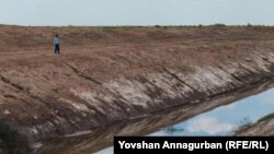 ‘Suw kadaly berilmeýär, daýhanlar uly zyýan çekýär’