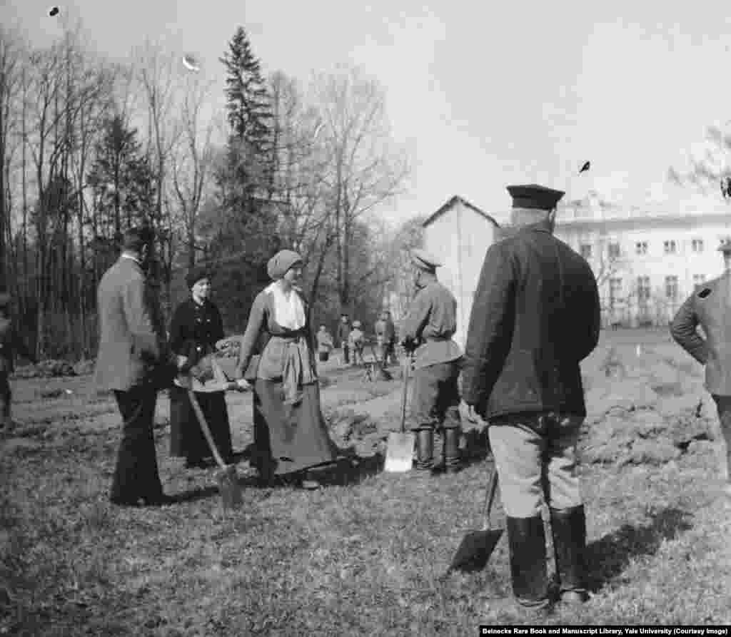 In the months after the 1917 Revolution, Grand Duchess Tatiana helping to dig a vegetable garden while being held in captivity by revolutionaries.&nbsp;