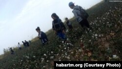 Illýustrasiýa suraty