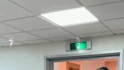 Valentino и Fendi в гардеробе чиновницы: главу Минздрава критикуют за дорогие наряды 