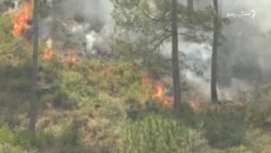 د ملاکنډ د ځنګلونو اور لا هم نه دی وژل شوی