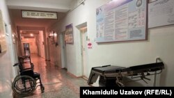 Иллюстрациялык сүрөт.