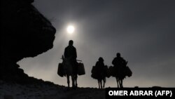 Ооганстанда эшекте суу ташып бараткандар. Сүрөт иллюстрация үчүн колдонулду.