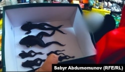 Кутуда камалып отура берип өлүп калган курбакалар.