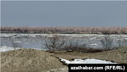 Türkmenistanda soňky birnäçe gün bäri dowam edýän sowuk howa akymynyň arasynda Amyderýanyň akabasynda buzluklar emele geldi. Ýanwar, 2023 ý.