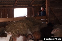 Bachurynskaya duke ushqyer kafshët.