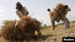 بهره برداری از کانال قوش تپه باعث افزایش محصولات زراعتی در بخش های وسیعی از شمال افغانستان خواهد شد