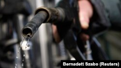 Fotografi ilustruese. 
