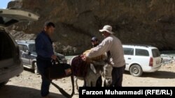 Ослик - привычное средство передвижения для жителей Ягноба