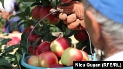 საილუსტაციო ფოტო