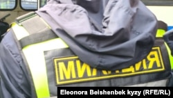 Иллюстрация.